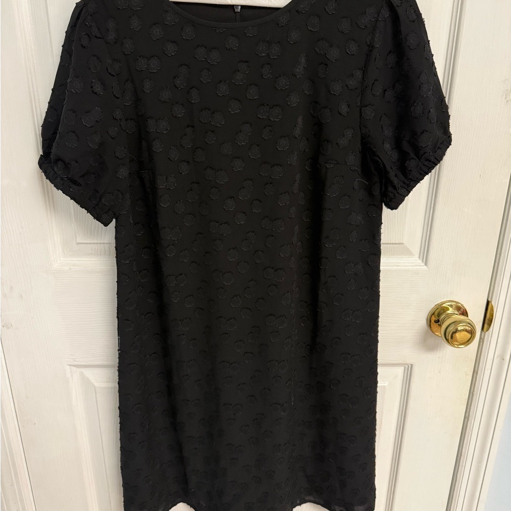 LOFT Black Sheath Mini Dress sz Small
